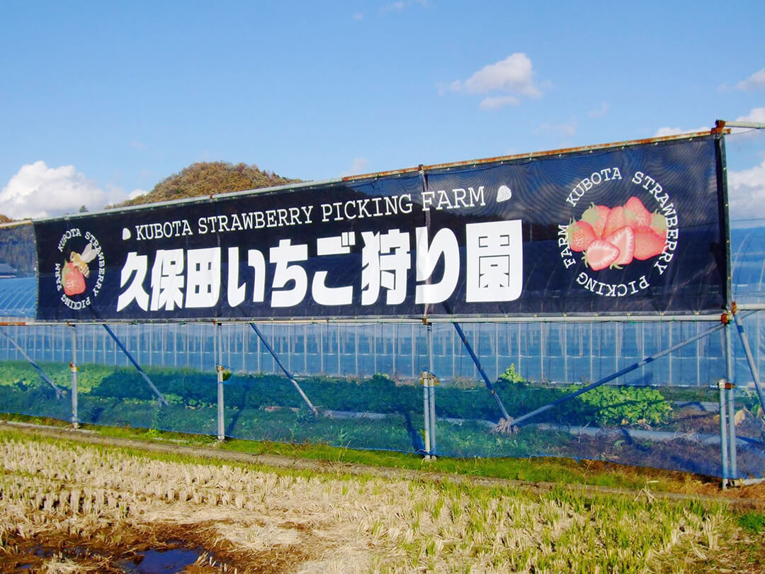 伊豆の国市江間　久保田いちご狩り園　黒い看板が目印です。