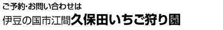 ご予約・お問い合わせは伊豆の国市江間久保田イチゴ狩り園