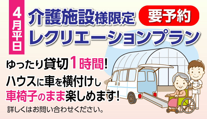 介護施設様レクリエーションプラン